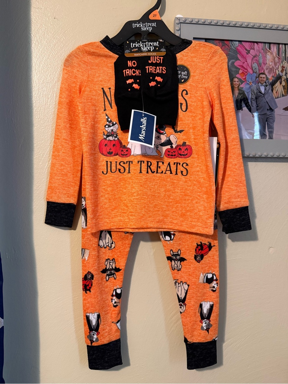 Halloween Dachshund Bundle Set